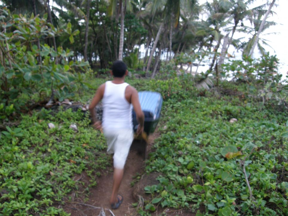 jaką walizkę kupić