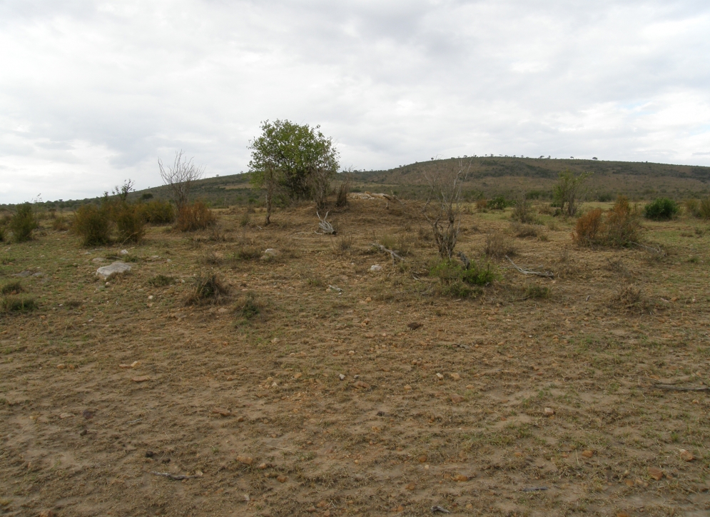 Jaki aparat cyfrowy kupić