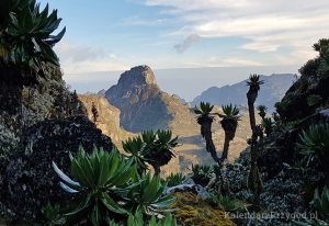 góry Ruwenzori